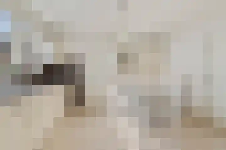 Kleistraat 3 Chaam thumbnail 9