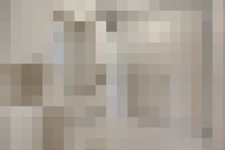 Klepel 143 Emmen thumbnail 13