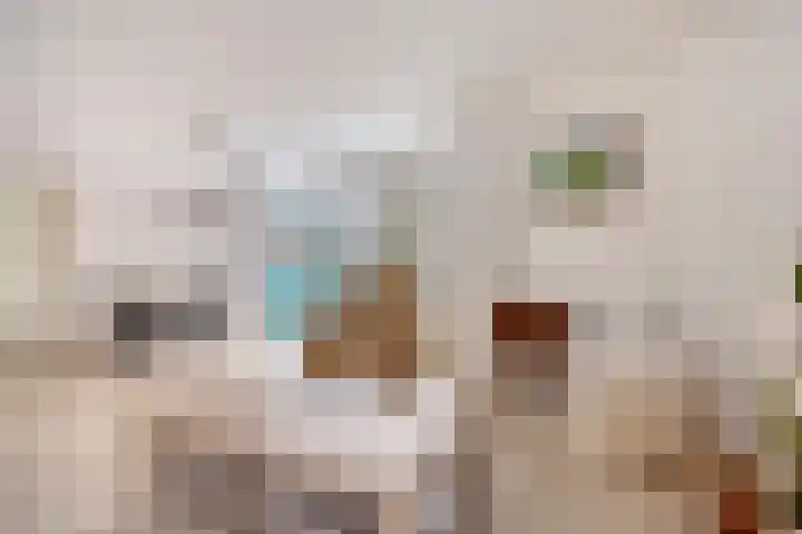 Klepel 143 Emmen thumbnail 6