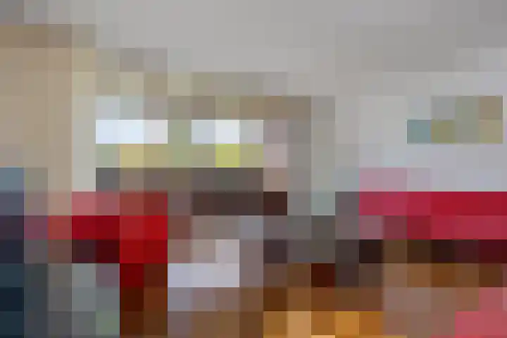 Klepel 320 Emmen thumbnail 10