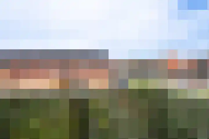 Klepel 320 Emmen thumbnail 12