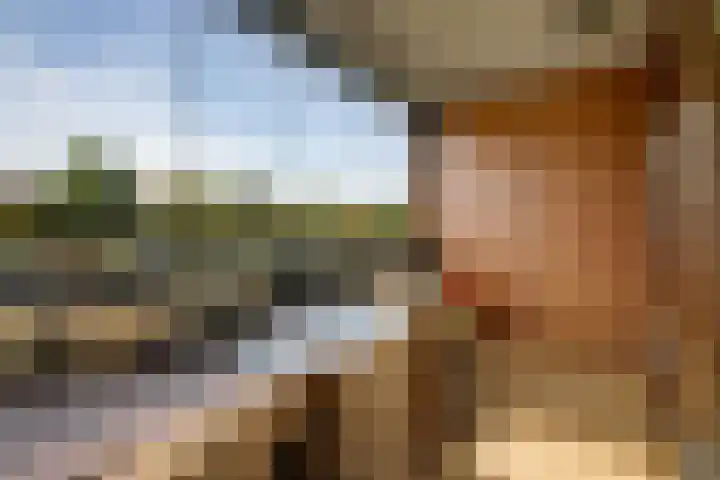 Klepel 320 Emmen thumbnail 14