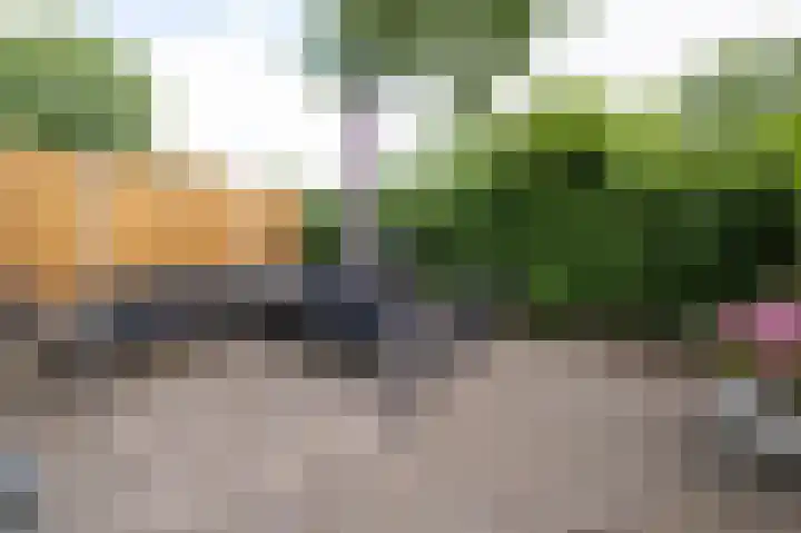 Klepel 374 Emmen thumbnail 16