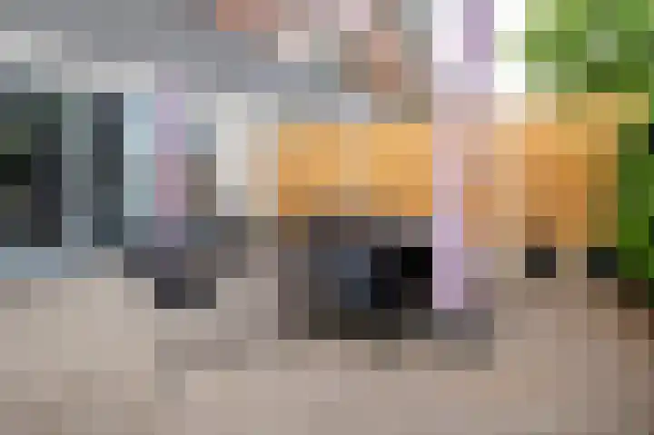 Klepel 374 Emmen thumbnail 17