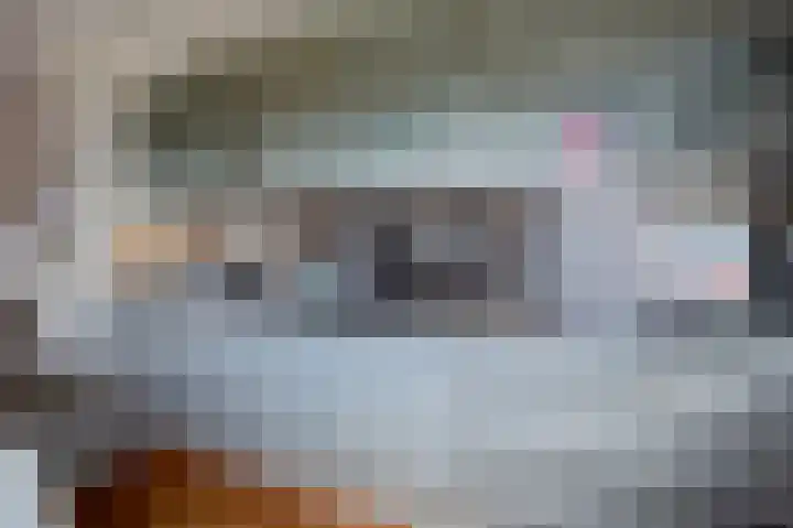 Klepel 374 Emmen thumbnail 21
