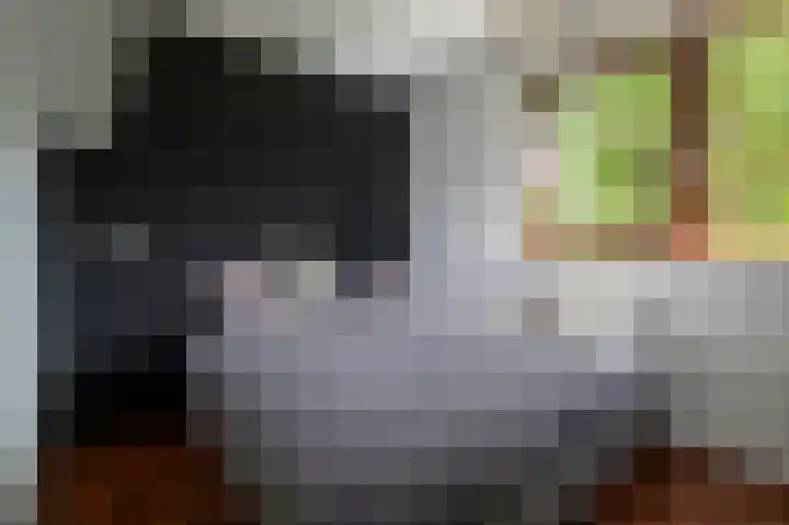 Klepel 374 Emmen thumbnail 35