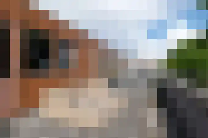 Klepel 374 Emmen thumbnail 42