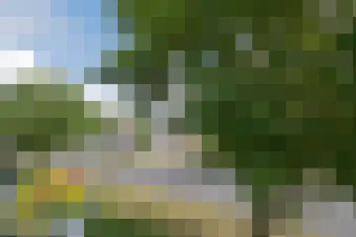 Klepel 374 Emmen thumbnail 43