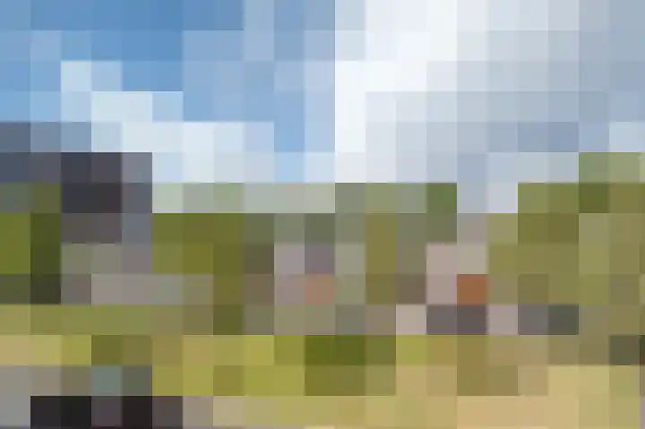 Klepel 374 Emmen thumbnail 46