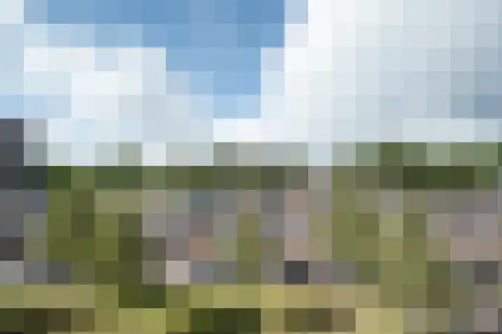 Klepel 374 Emmen thumbnail 5