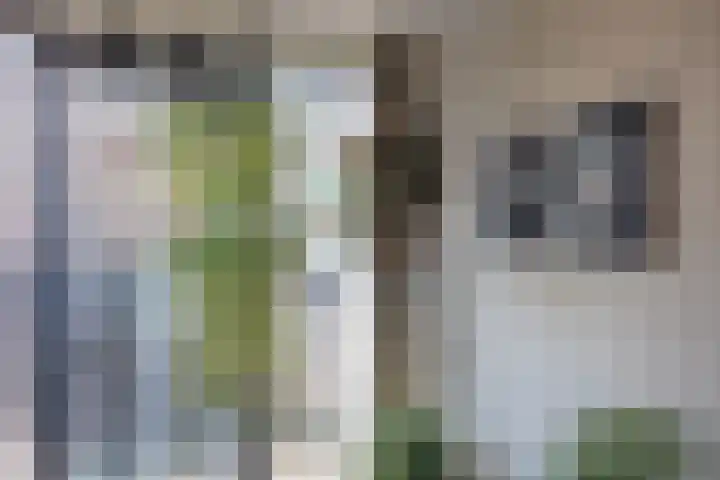 Klepperheide 3 B Druten thumbnail 14