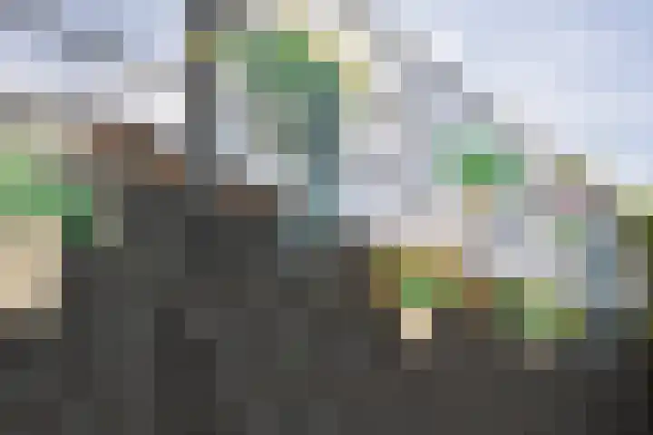 Klepperheide 3 B Druten thumbnail 34