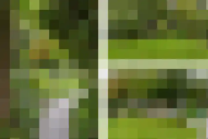 Klepperstee-Eik 1 Ouddorp thumbnail 14