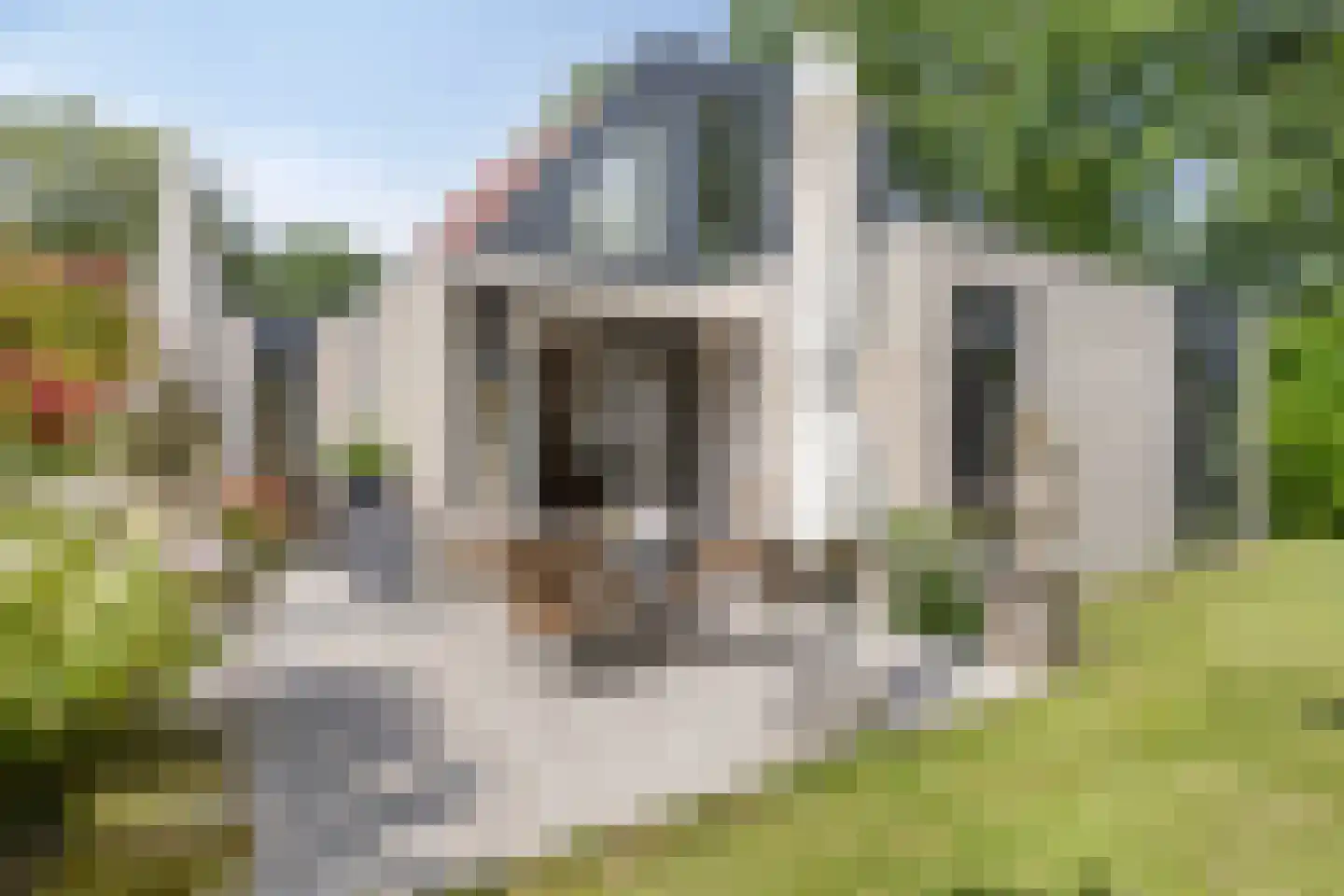 Klepperstee-Eik 1 Ouddorp foto 2