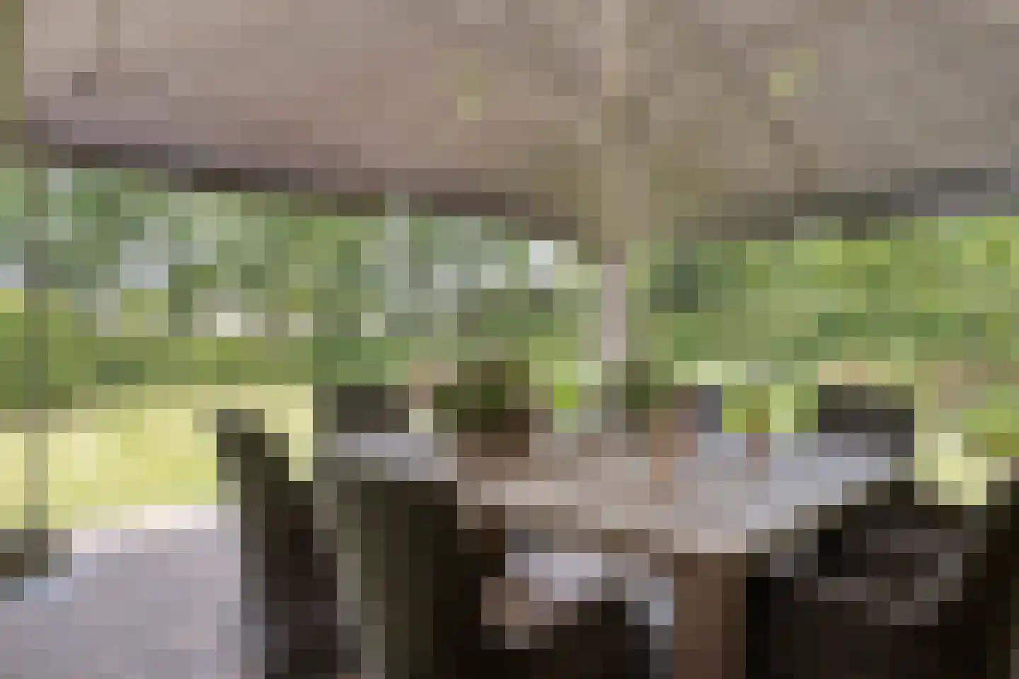 Klepperstee-Eik 1 Ouddorp thumbnail 20