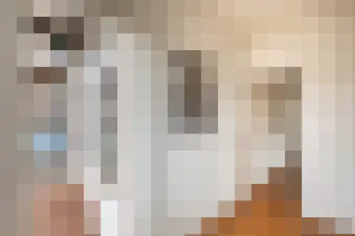 Klepperstee-Eik 1 Ouddorp foto 3