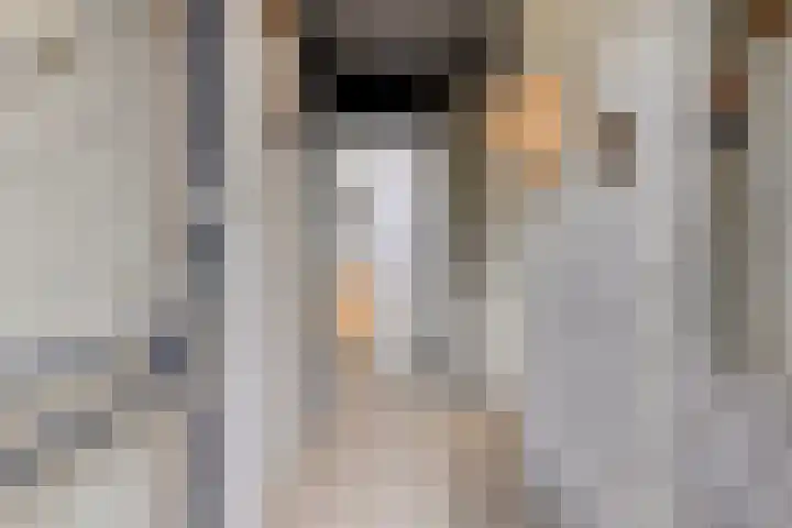 Klepperstee-Linde 12 Ouddorp thumbnail 17
