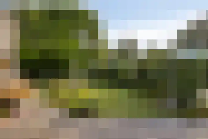 Klepperstee-Linde 12 Ouddorp thumbnail 29