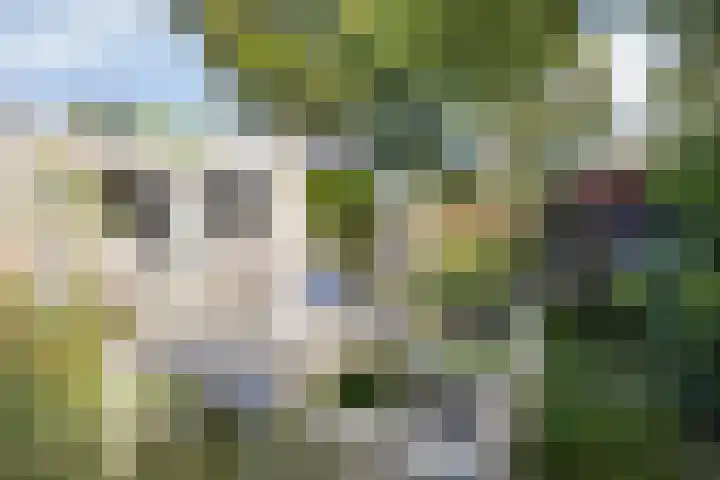 Klepperstee-Linde 12 Ouddorp thumbnail 30