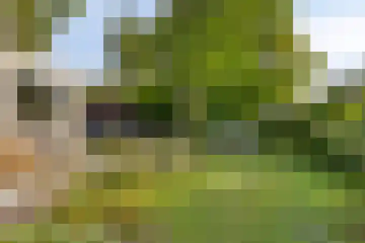 Klepperstee-Linde 12 Ouddorp thumbnail 31