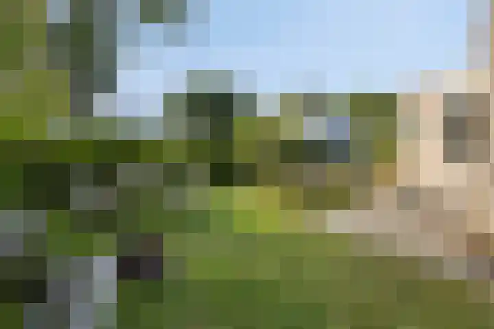 Klepperstee-Linde 12 Ouddorp thumbnail 34