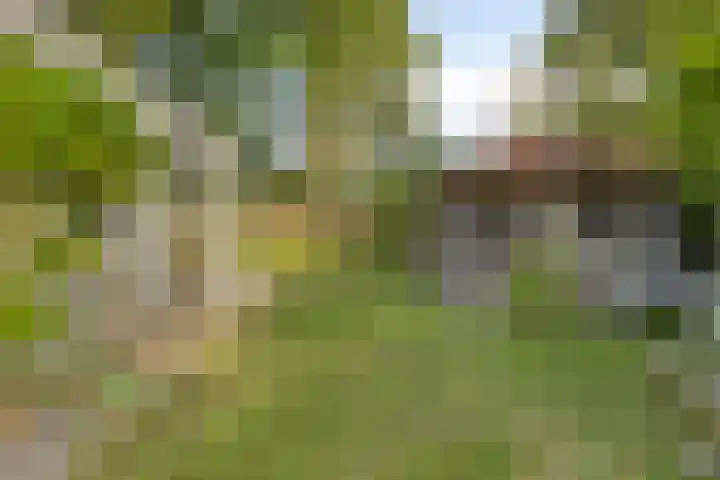 Klepperstee-Linde 12 Ouddorp thumbnail 35