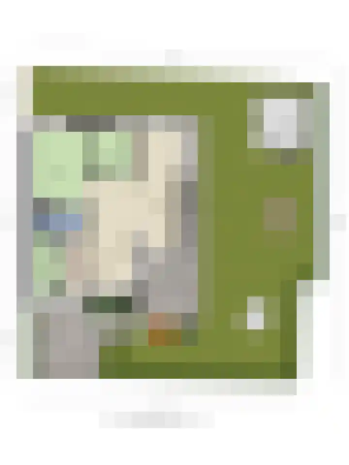 Klepperstee-Linde 12 Ouddorp thumbnail 42