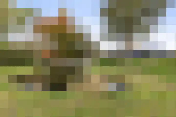 Kletterstraat 27 Epse thumbnail 5