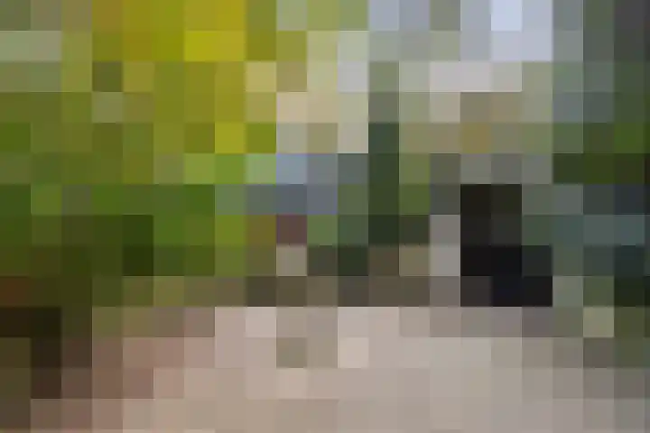 Kletterstraat 27 Epse thumbnail 6