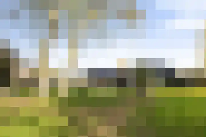 Kletterstraat 27 Epse thumbnail 76