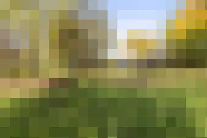 Kletterstraat 27 Epse thumbnail 78
