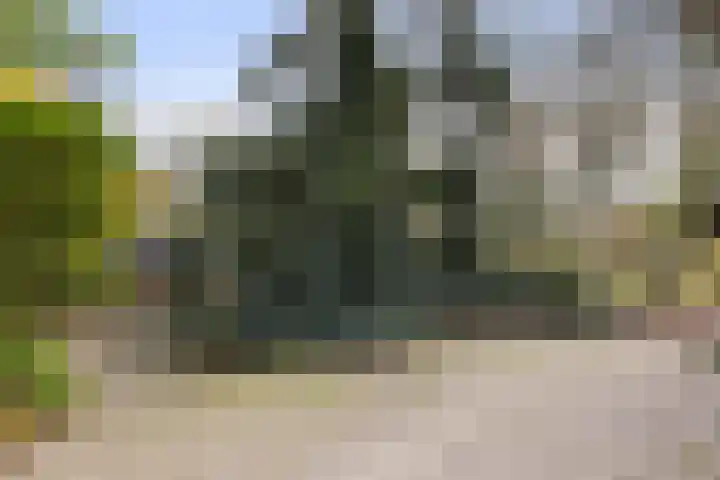 Kletterstraat 27 Epse thumbnail 91