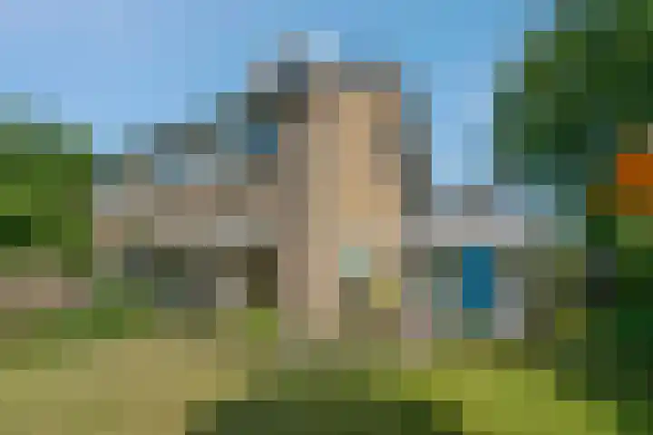 Klimop 1 Roden
