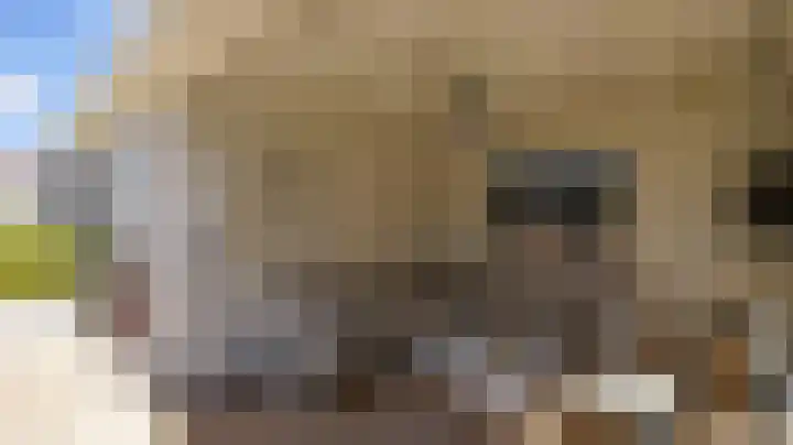 Klimopstraat 11 Echt thumbnail 44