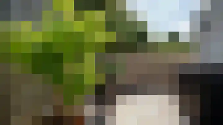 Klimopstraat 11 Echt thumbnail 46