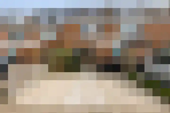 Klimopzoom 91 Leiderdorp