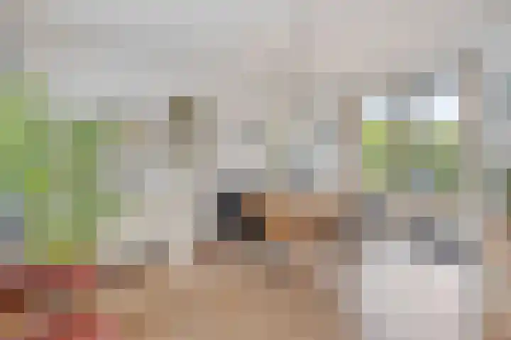Kling 31 Cuijk thumbnail 13