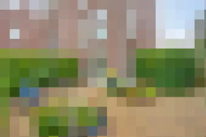 Kling 31 Cuijk thumbnail 37