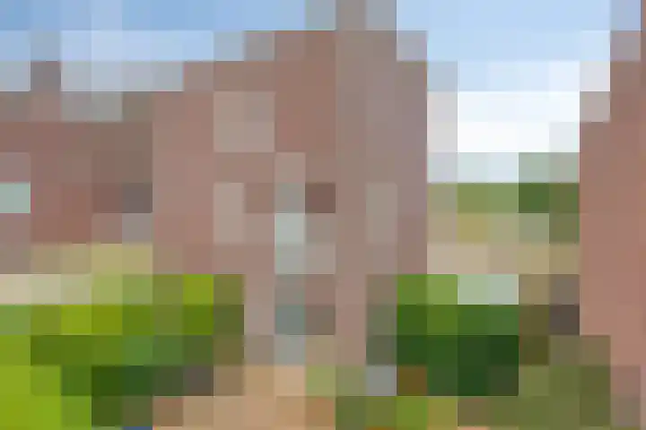 Kling 31 Cuijk thumbnail 38