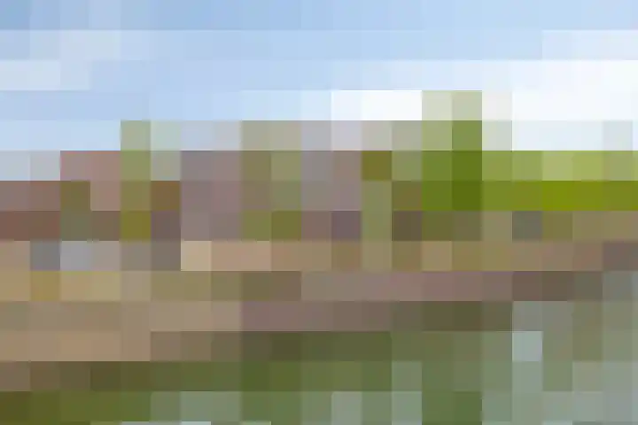 Kling 31 Cuijk thumbnail 5