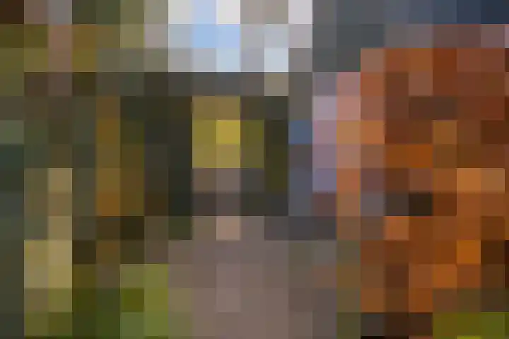 Klingelbeek 13 Ede thumbnail 35