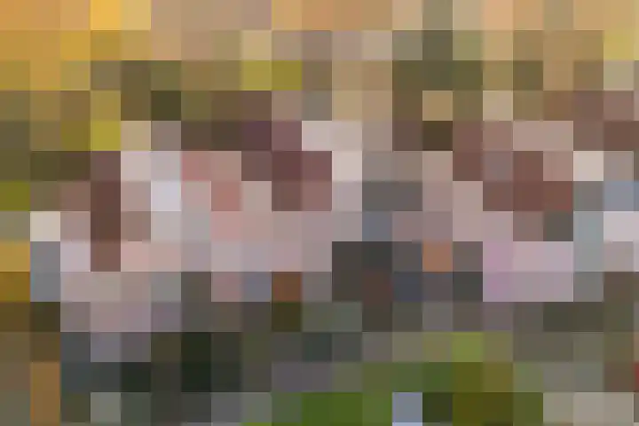 Klingelbeek 13 Ede thumbnail 41