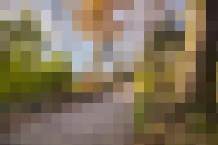 Klingelbeek 13 Ede thumbnail 44