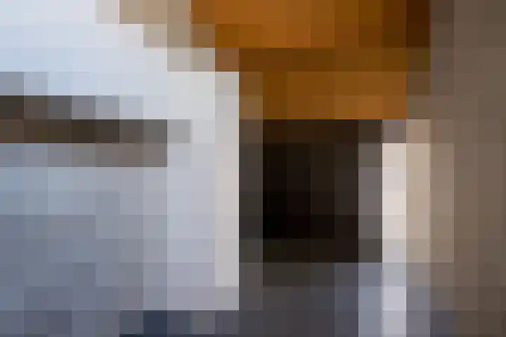 Klingelbeek 32 Eindhoven thumbnail 12