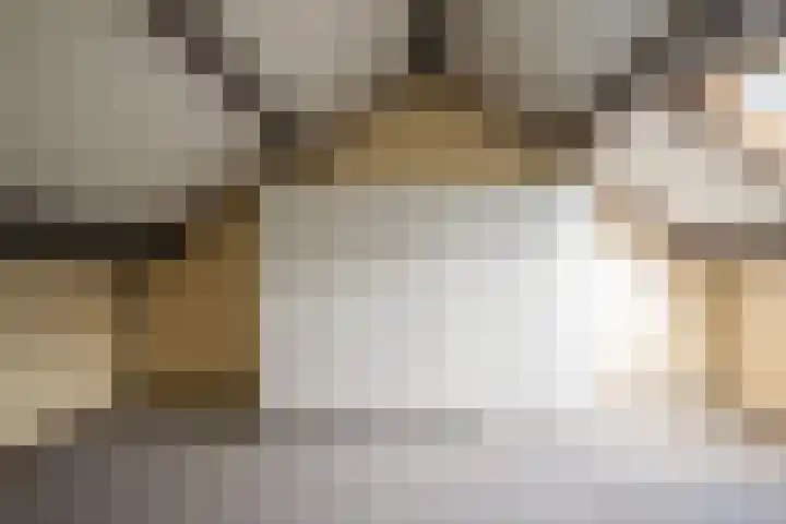 Klingelbeek 32 Eindhoven thumbnail 19