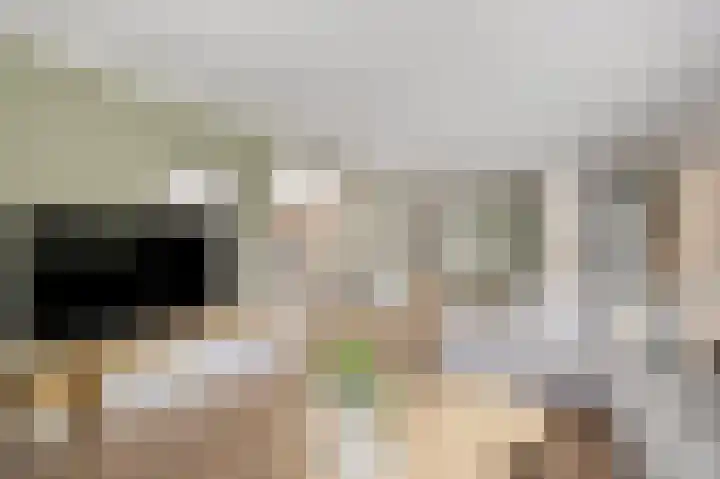 Klingelbeek 32 Eindhoven thumbnail 20