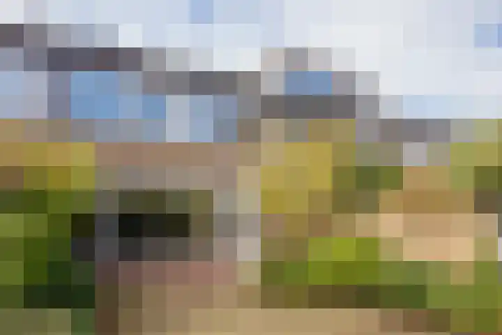 Klingelbeek 32 Eindhoven thumbnail 24