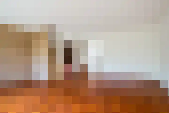 Klingelbeek 32 Eindhoven thumbnail 8