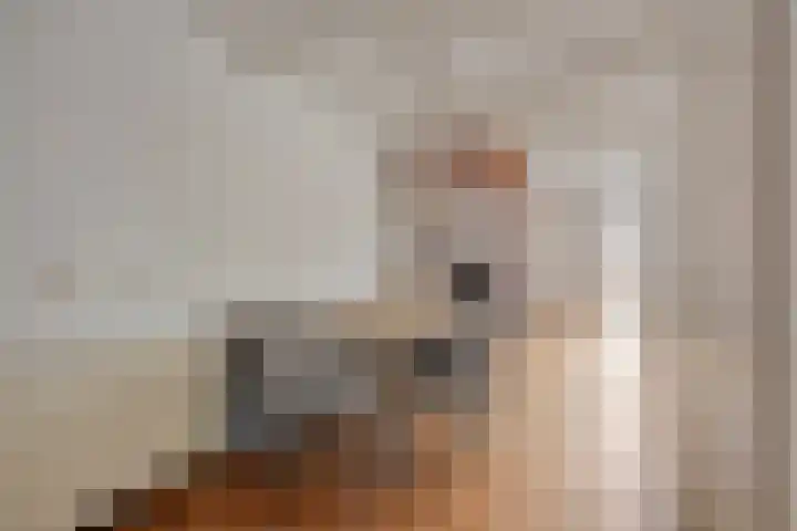 Klingendaal 3 Pijnacker thumbnail 20