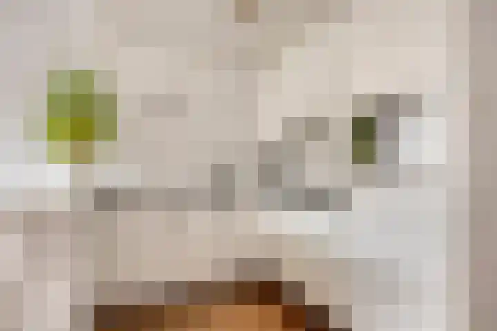 Klingendaal 3 Pijnacker thumbnail 22